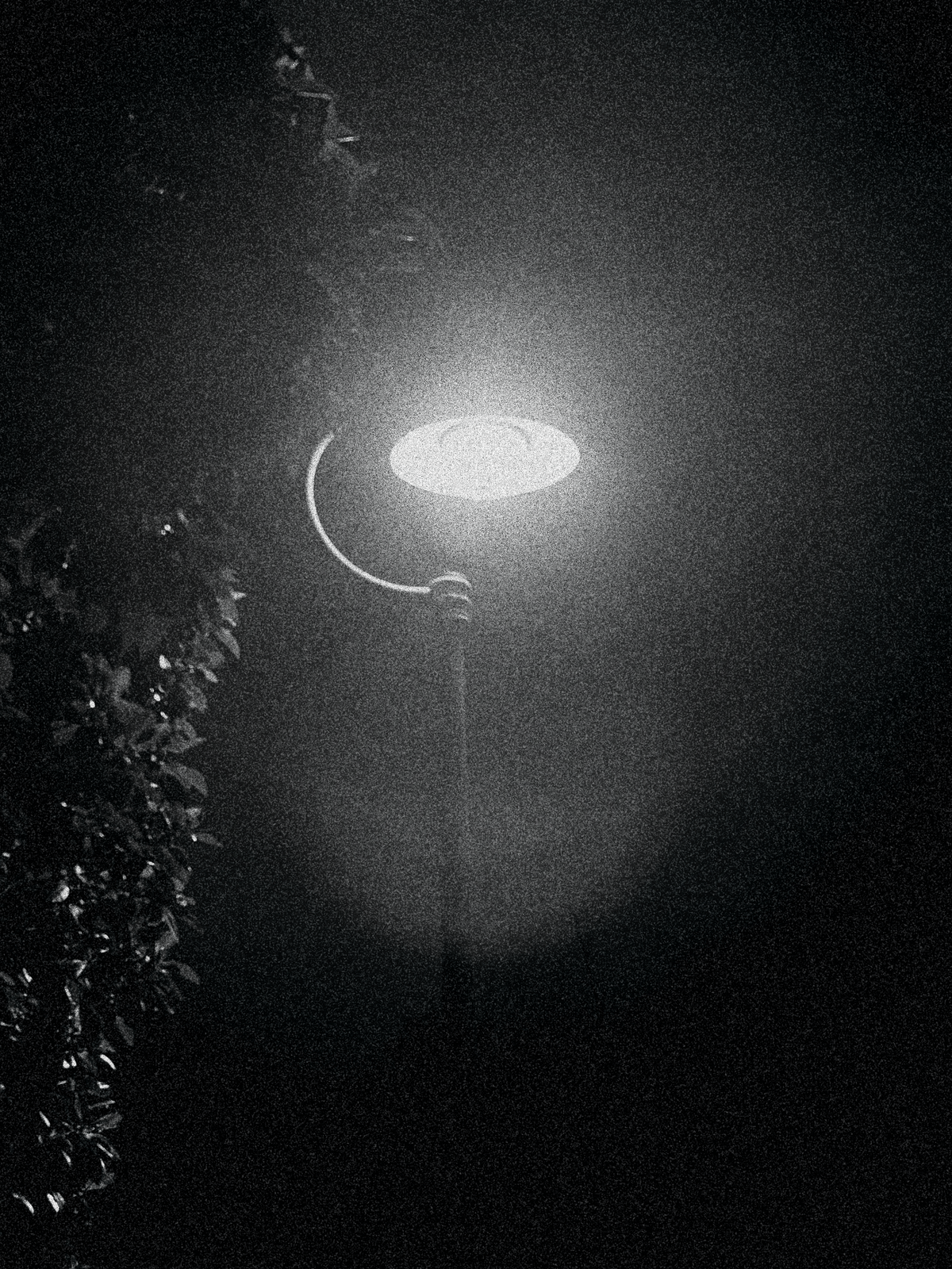 Street lamp lighting the dark.