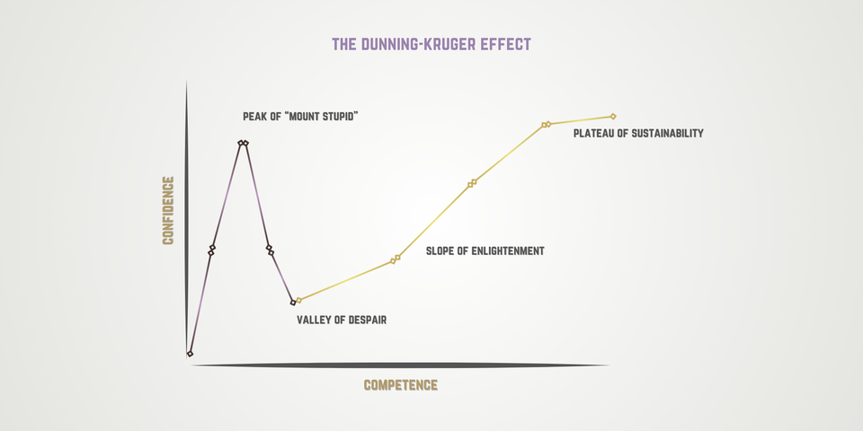 When Confidence Outruns Competence