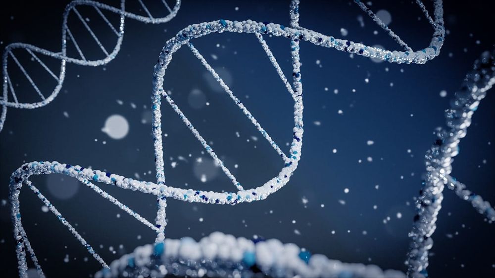 DNA Anda Menentukan Seberapa Banyak Berat Badan Turun dengan Ozempic — Studi Nature pada 27.885 Pengguna GLP-1
