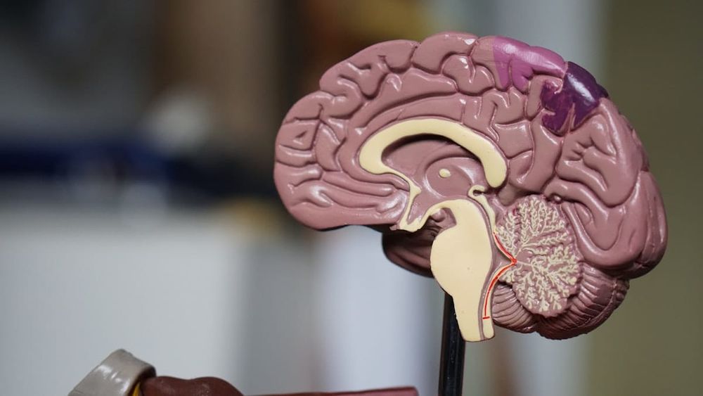 Perlemakan Hati (Fatty Liver) dan GLP-1: Bisakah Semaglutide Menyembuhkan Hati Anda?