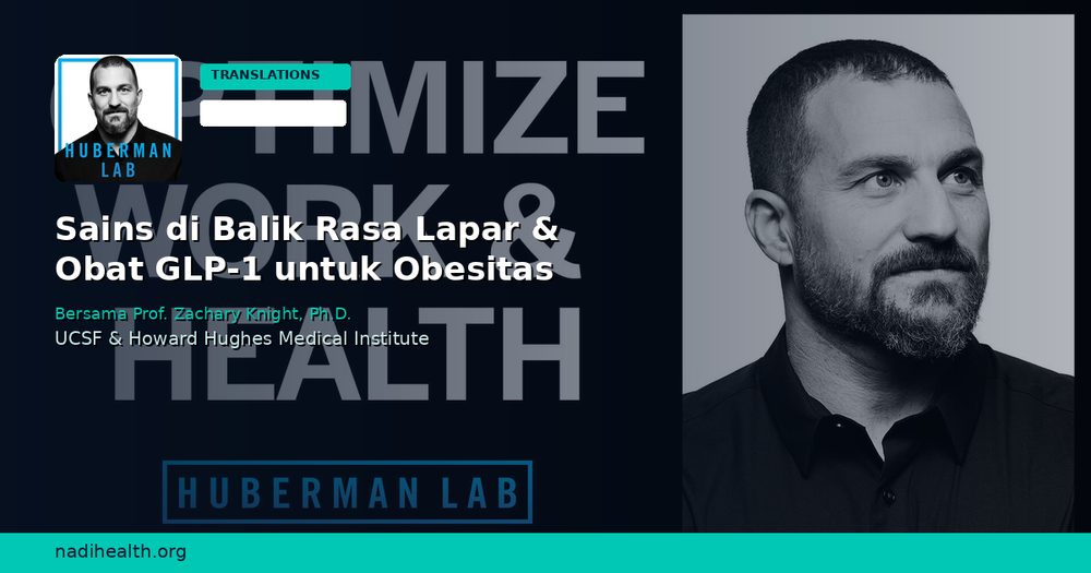 Sains di Balik Rasa Lapar & Obat GLP-1 untuk Obesitas — Ringkasan Podcast Huberman Lab