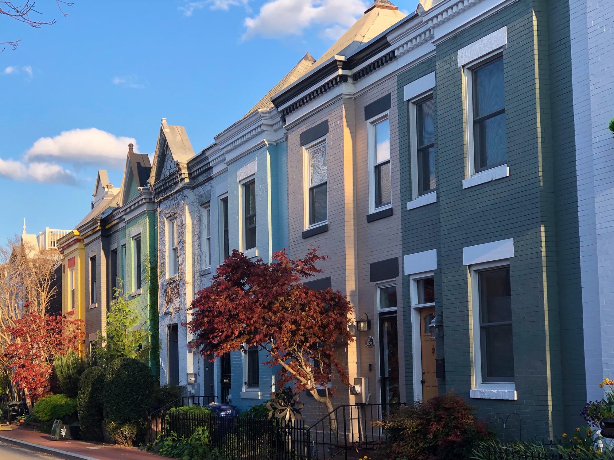 Colorful rowhomes lit with peach light from the sunset, with a small red tree.