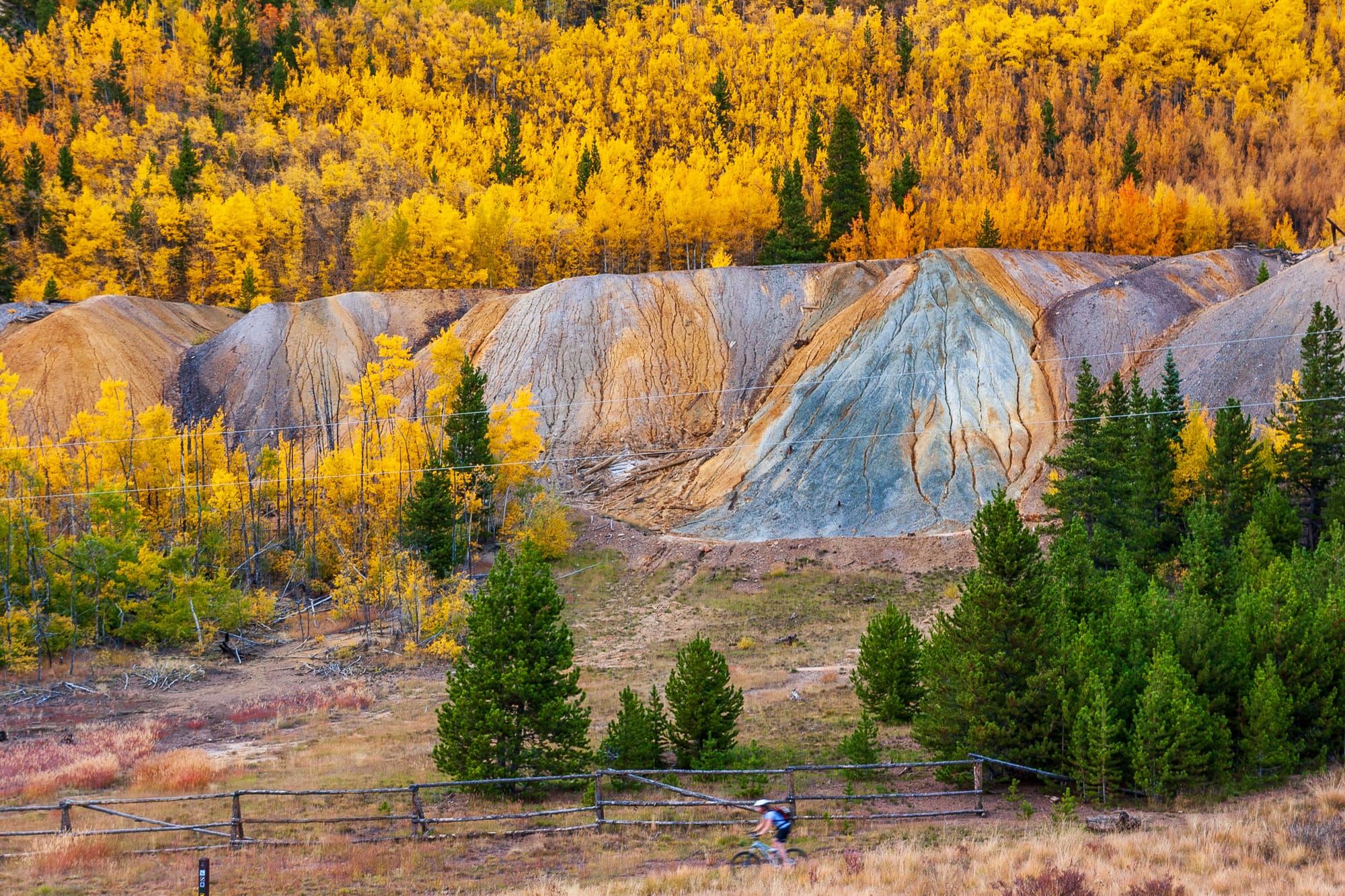 Fall foliage. in the foreground, a mountain biker rides past blue, orange and purple mine tailings which are framed by green evergreens and golden aspen leaves.