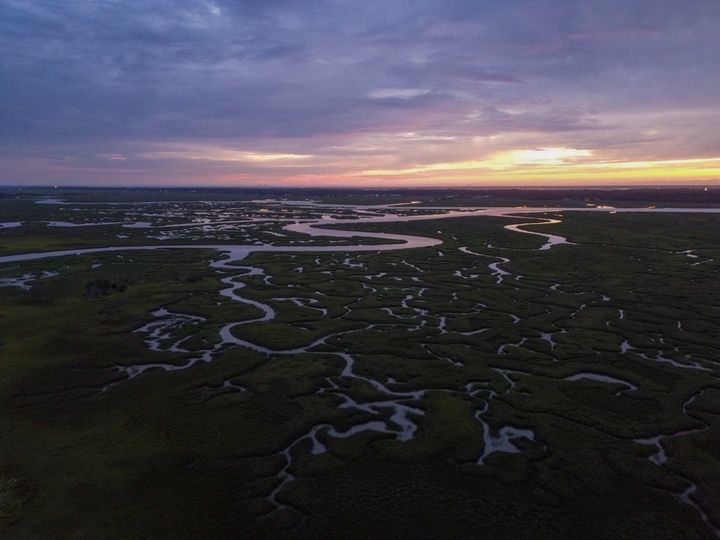 An aerial view of marshlands. Purple channels of open water trace through dark marshlands under a fading sunset.