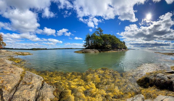 Yellowish rocks and kelp frame green water surrounding a small forested island. Overhead are light fluffy clouds in a blue sky and a bright sun. 