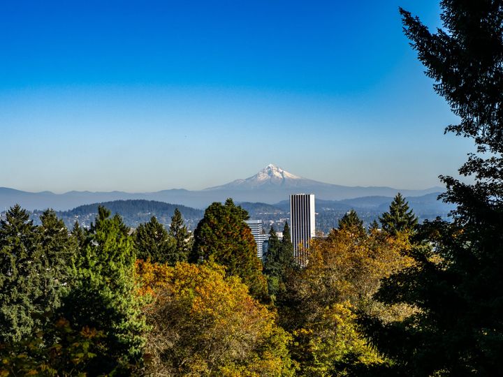 A large volcanic mountain with a light snow cap rises over office buildings. In the foreground are trees whose leaves are changing colors for autumn. 