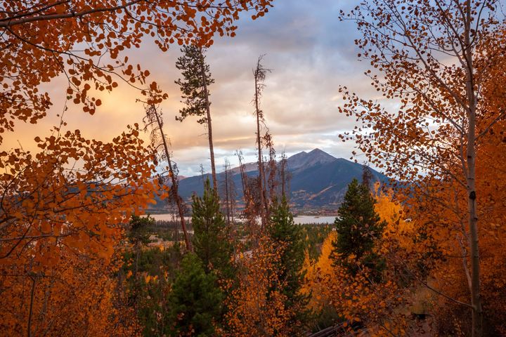 Orange aspen leaves frame a mountain scene at sunset. 