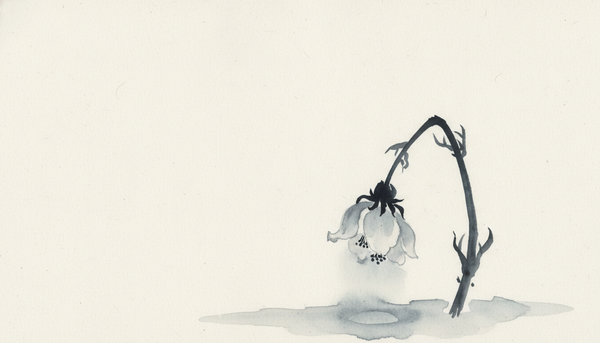 If Someone Dies, Will They Live Again? — Job 14