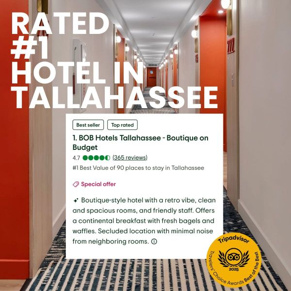 From Last Place to #1: How BOB Conquered Tallahassee in 2025