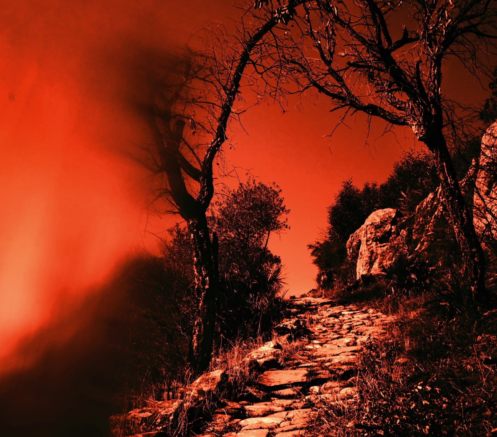 Sheol, Hades, and the Intermediate State