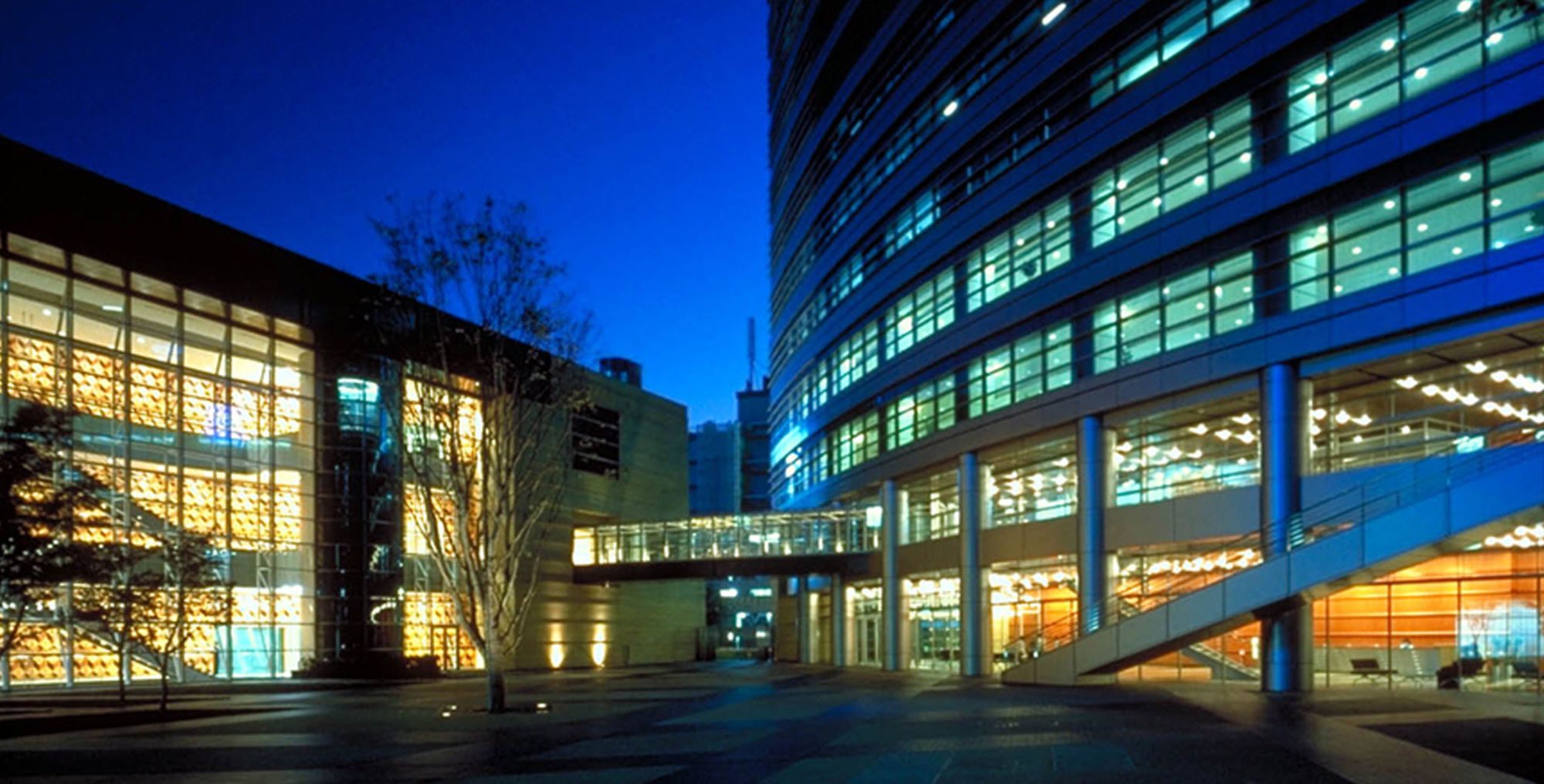 NTT East and West Experience Major Network Disruptions Affecting Services