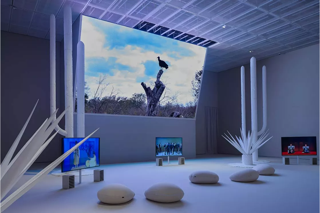 Jung Yeondoo's Vision: Bridging Korea, Mexico, and Migration