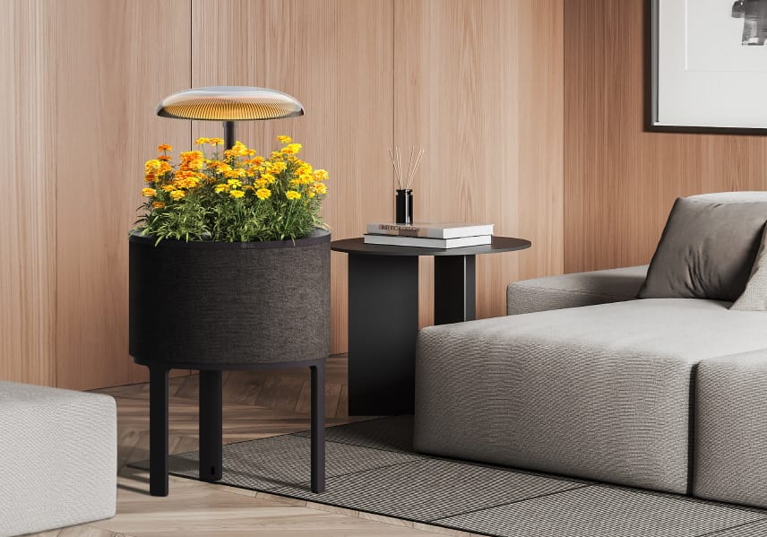 LG to Unveil Smart Indoor Garden System at CES 2025
