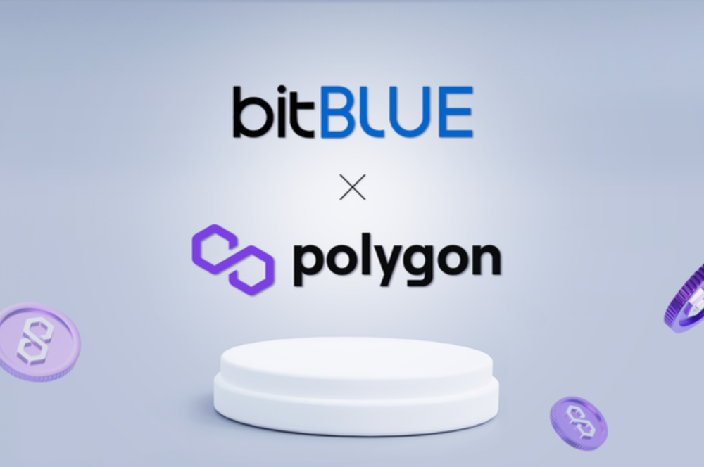 BitBlue and Polygon Labs Partner to Advance NFT Market & Web 3.0 Services post image
