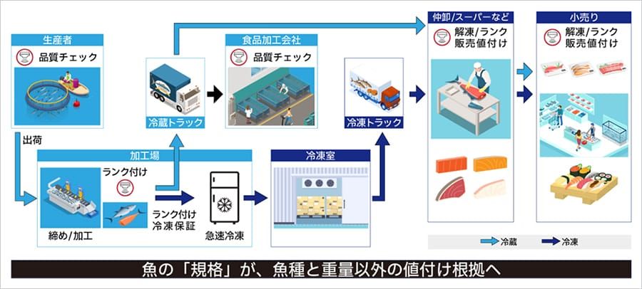 Revolutionizing Seafood: The Quest for Ultimate Freshness and Flavor post image