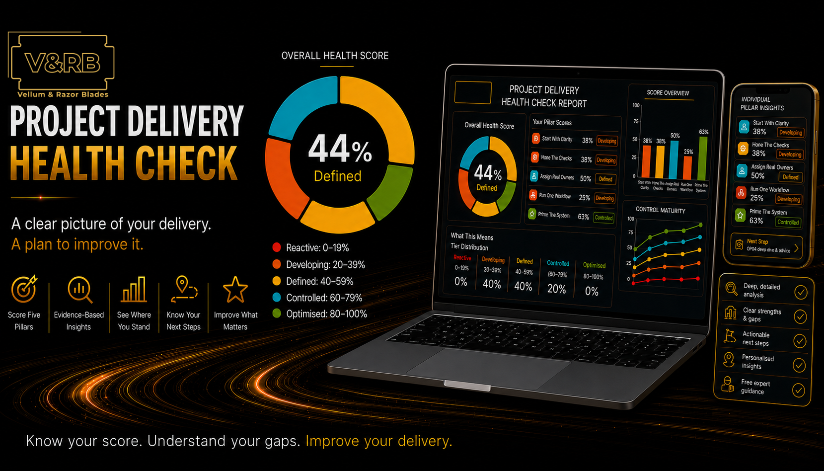 Project Delivery Health Check infographic enlarged view