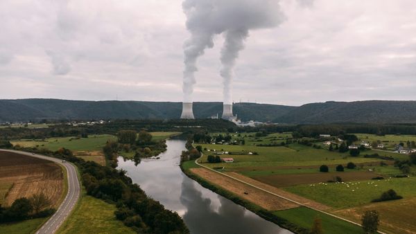 German electricity companies are opposed to a revival of nuclear power in Germany