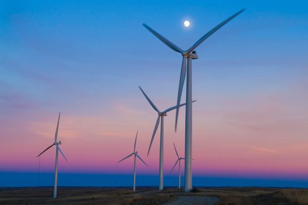 Les compagnies d’électricité pourraient vendre de l’électricité à prix nul pendant la journée