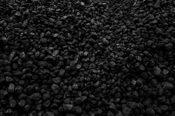 Italy's last two coal-fired plants set to close before year-end