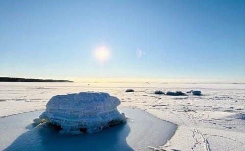 Maaliskuun kuukausitiedote / March event info