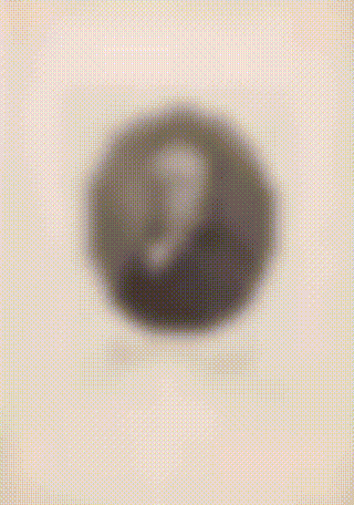 Image loading GIF with the image transforming from blurry to sharp.