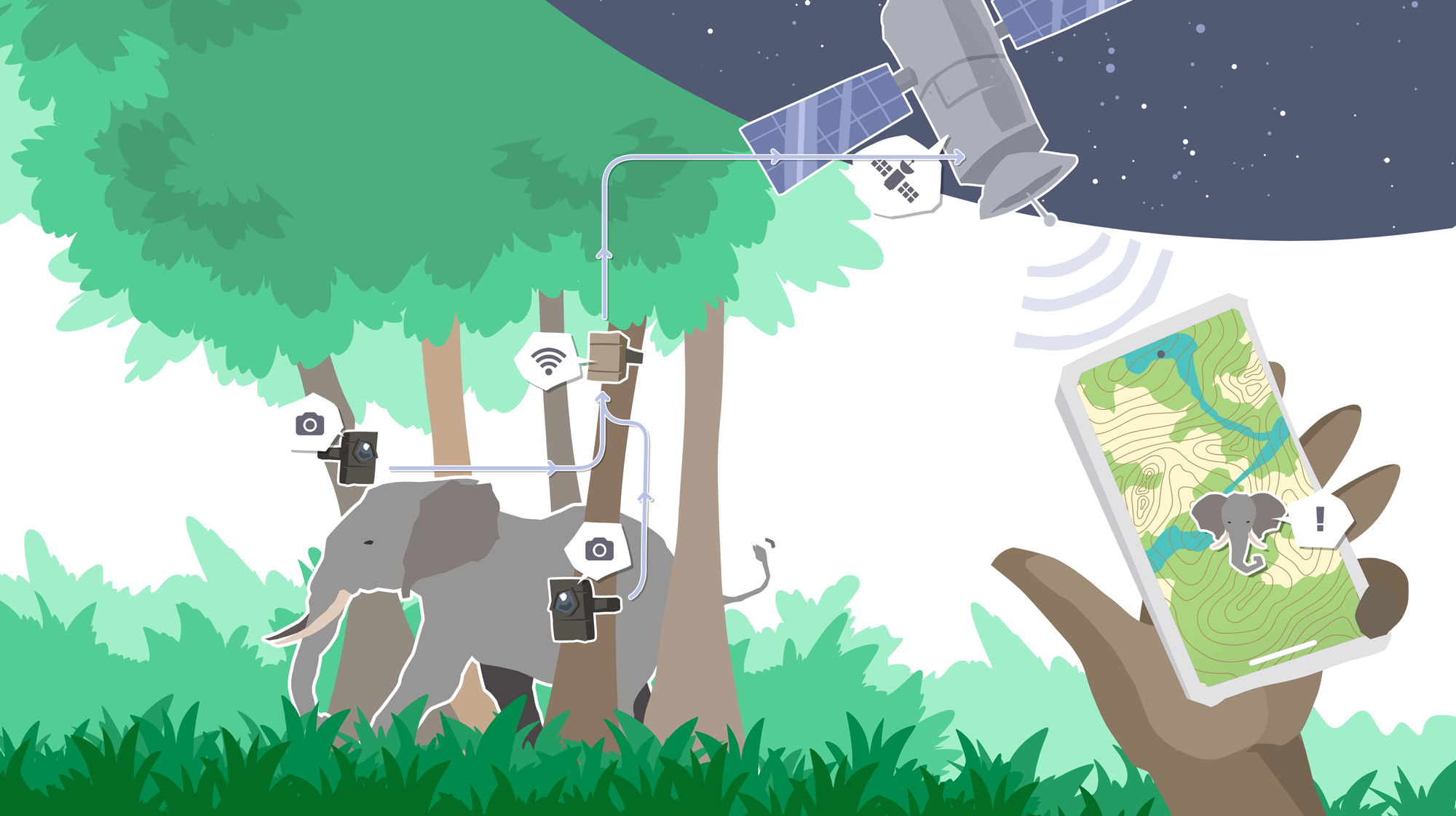 Illustration of a wild park with an elephant and the digital touch points used to manage poacher camera traps.