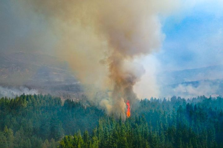 ¿Y ahora qué pasó? #16