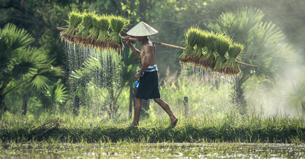 Carbon reduction and removal for net zero 📉