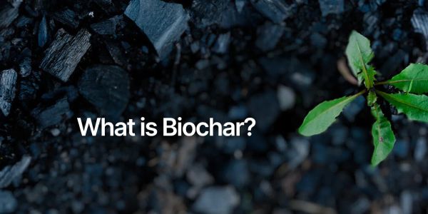 What is biochar? CDR explained