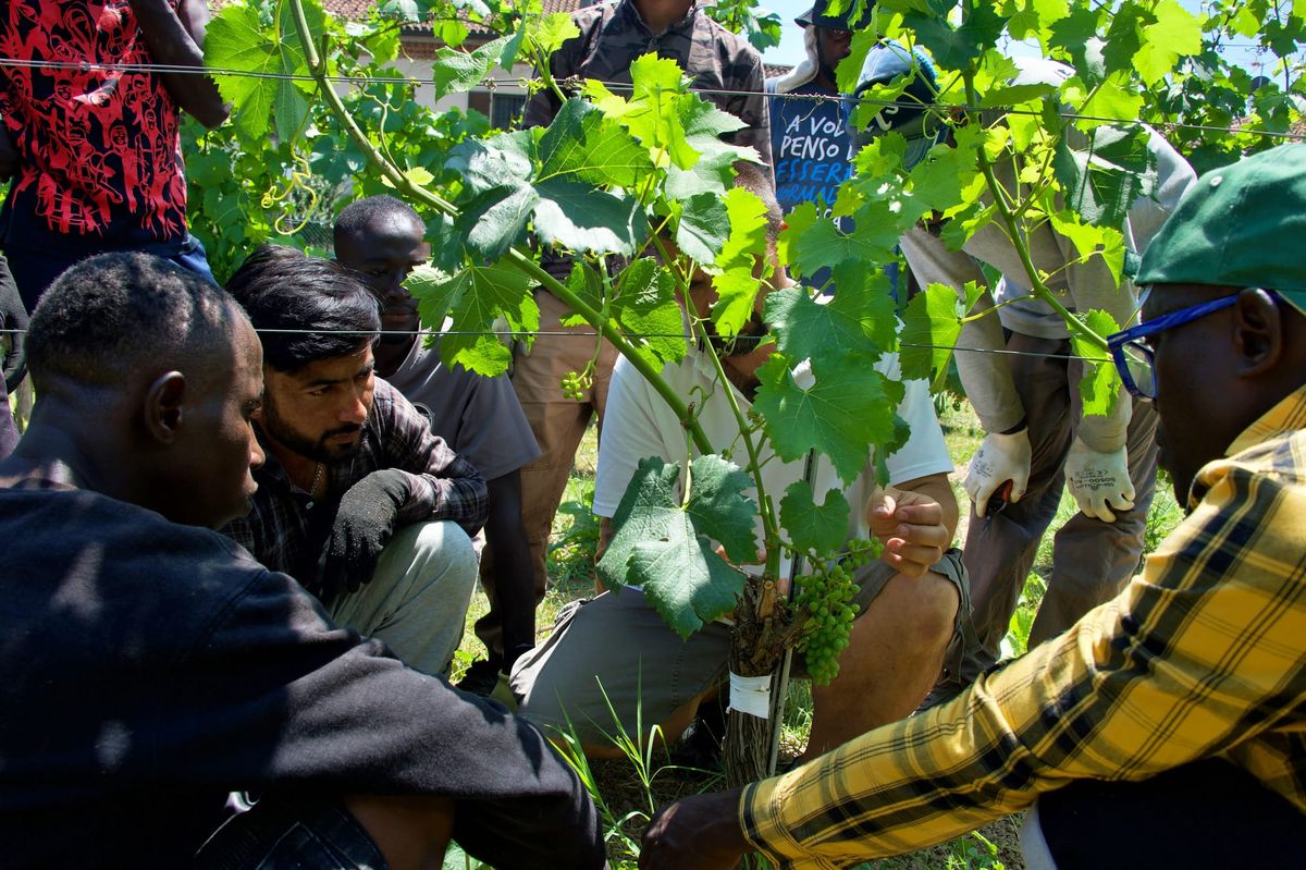 Il Cuneese prova a fare rete contro lo sfruttamento nei campi