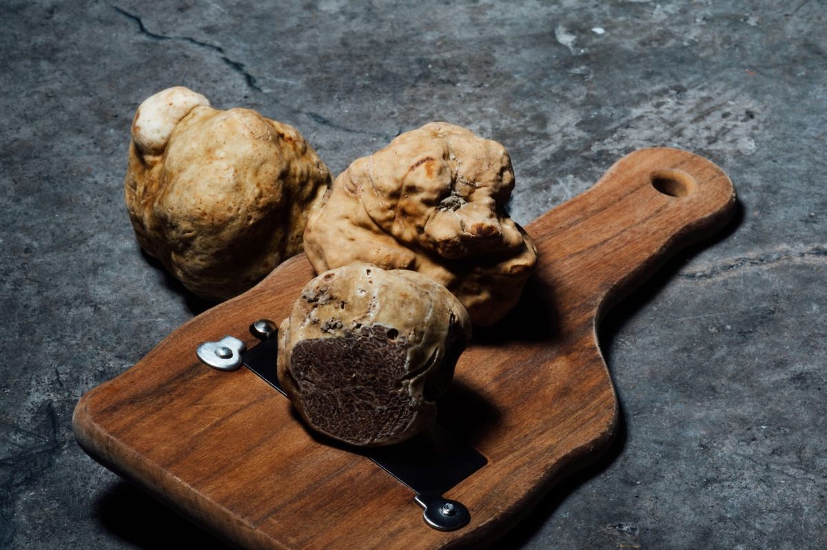 Museo del tartufo, quasi tre milioni per un progetto che non decolla