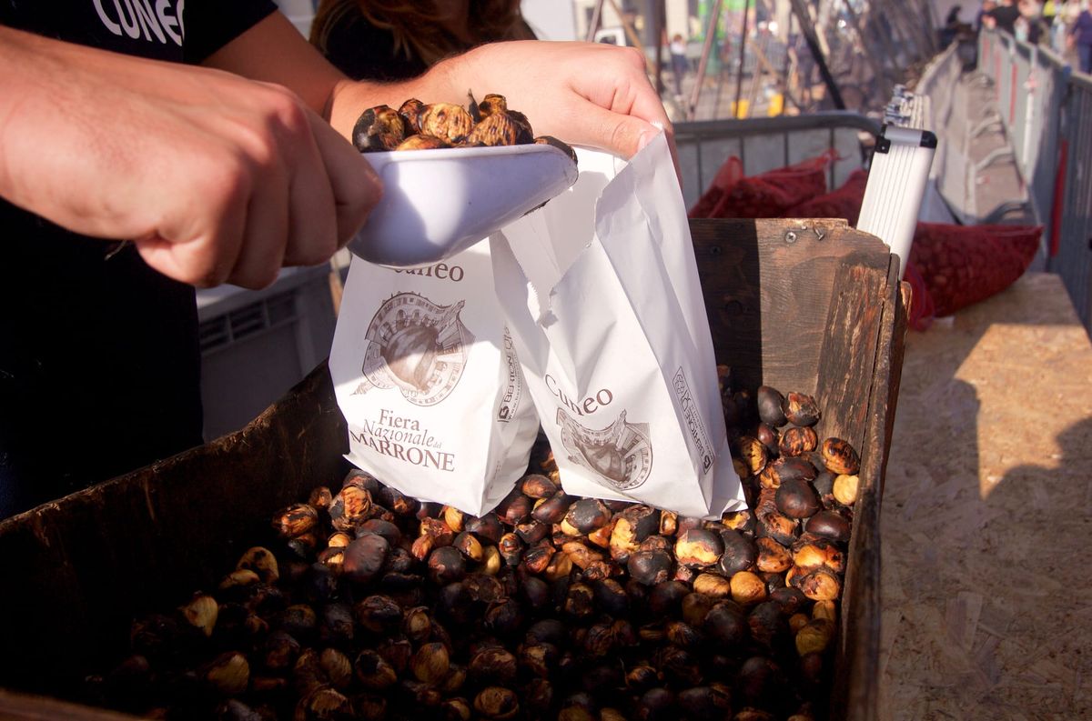 Anche Cuneo vuole una fiera internazionale, come Alba