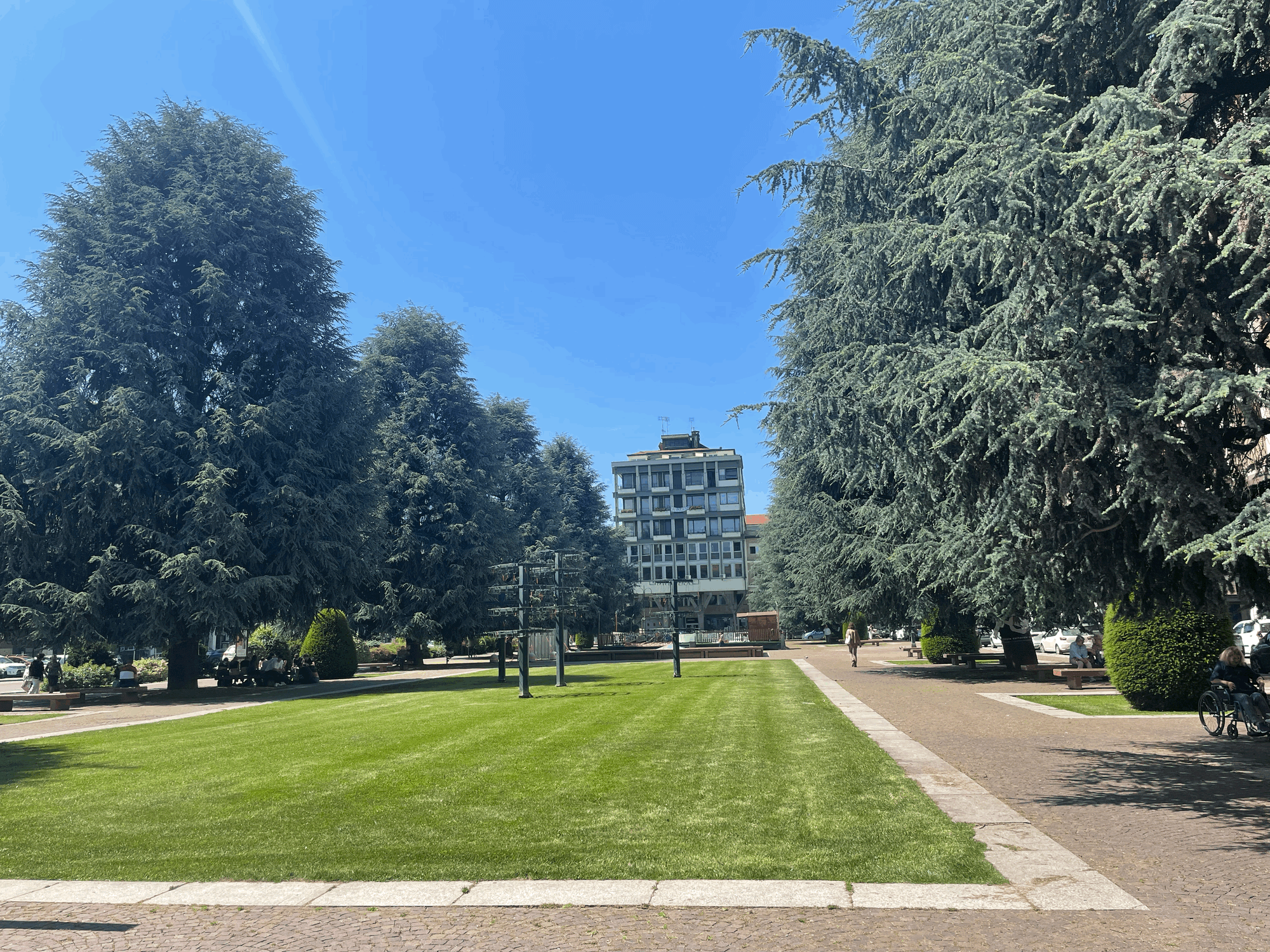 I cedri di piazza Europa non saranno abbattuti (per ora)