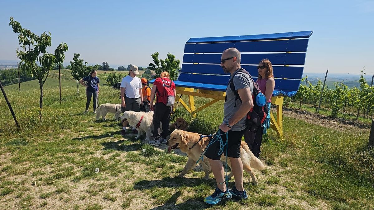 I primi passi della vita per abbracciare un Golden Retriever