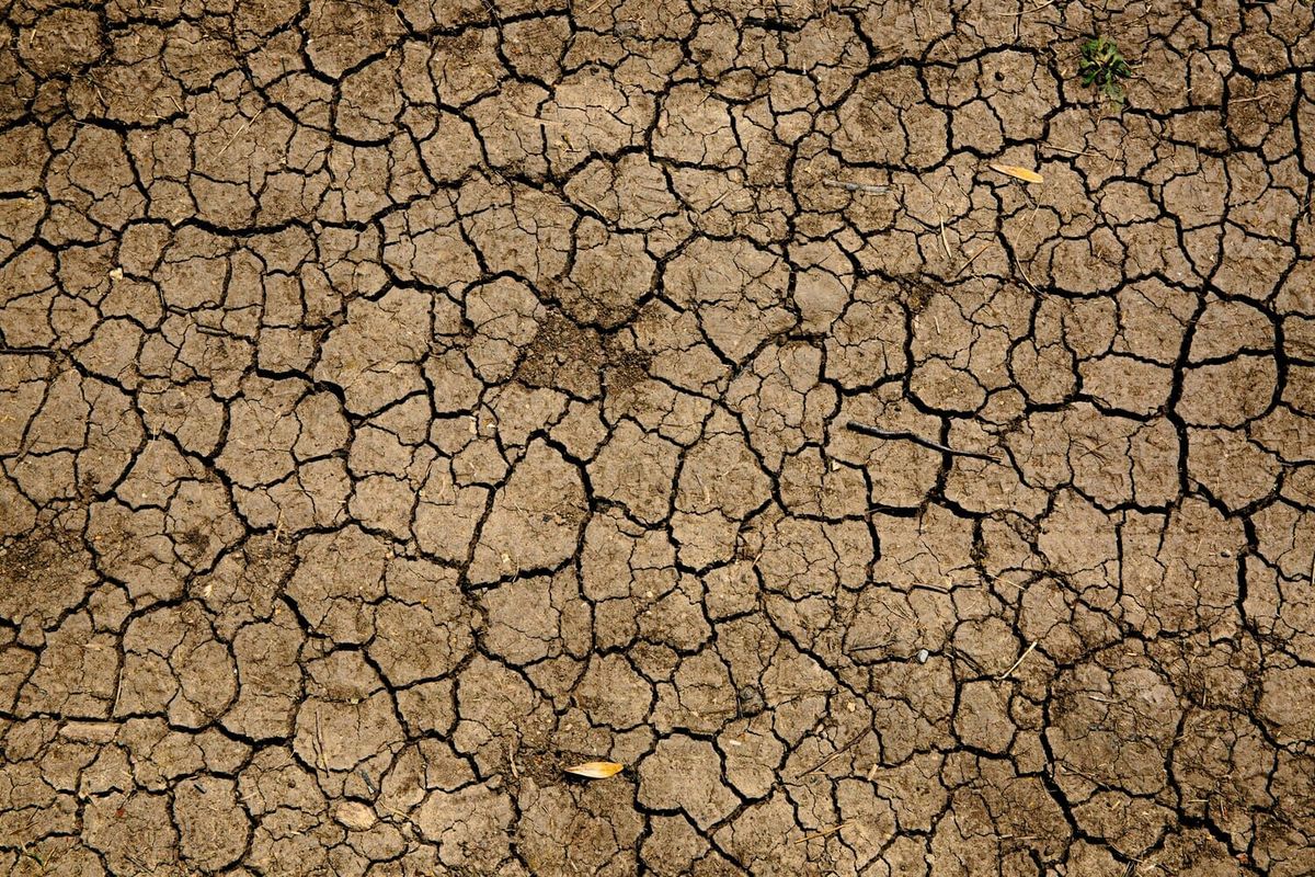 Il cambiamento climatico non si ferma alla frontiera