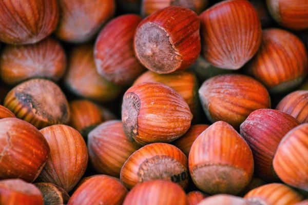 Una crema alle nocciole ha fatto litigare Francia e Algeria, ma non è la Nutella