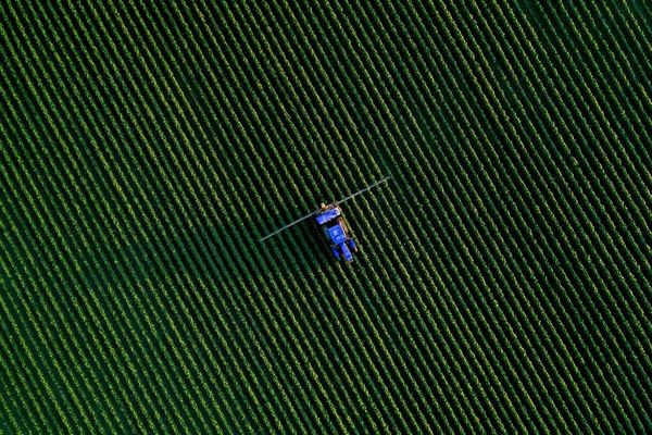 Gli agricoltori alessandrini non vogliono essere dimenticati