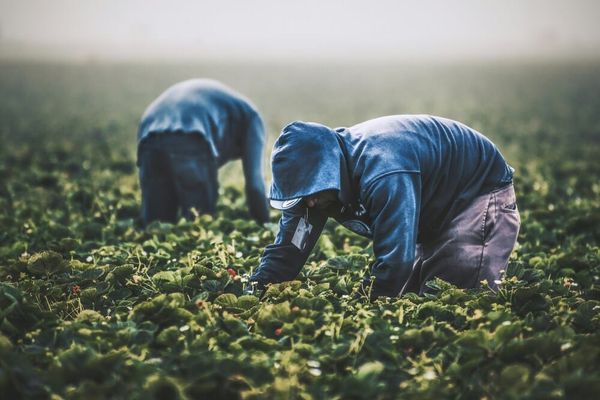 La terra che sfrutta chi la fa fruttare