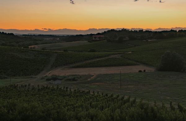 Il pericolo per le campagne viene dall’Asia