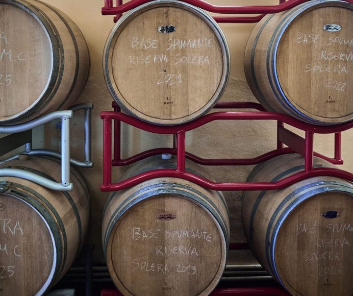 Il ritorno dei giovani nei vigneti dell’Alessandrino