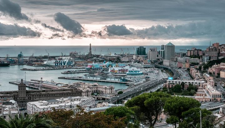 Mai così tante tartarughe in Liguria: “colpa” del mare più caldo