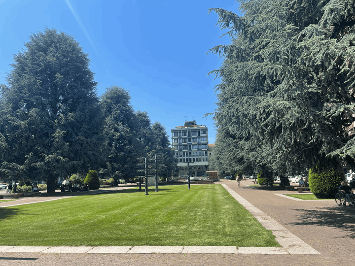 I cedri di piazza Europa non saranno abbattuti (per ora)