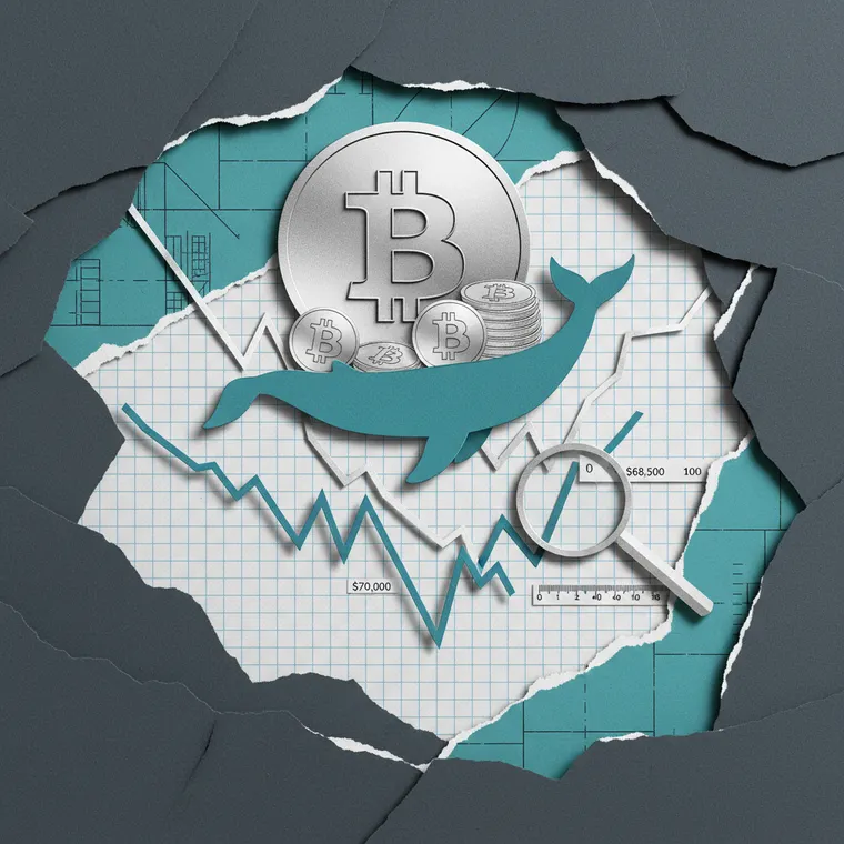 비트코인 RSI 과매도 고래 매집 바닥 신호 분석 페이퍼컷 콜라주 일러스트레이션