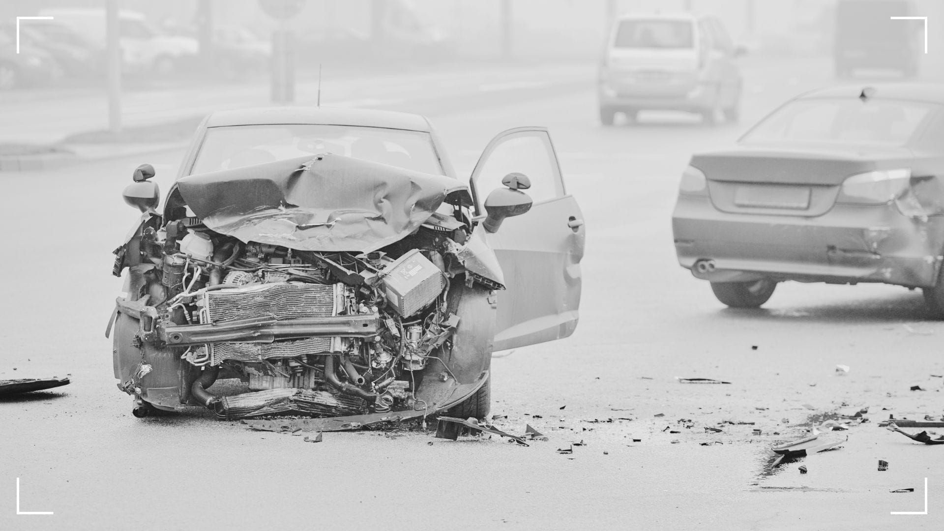 Убийци с книжка – до кога ще гледаме и мълчим?