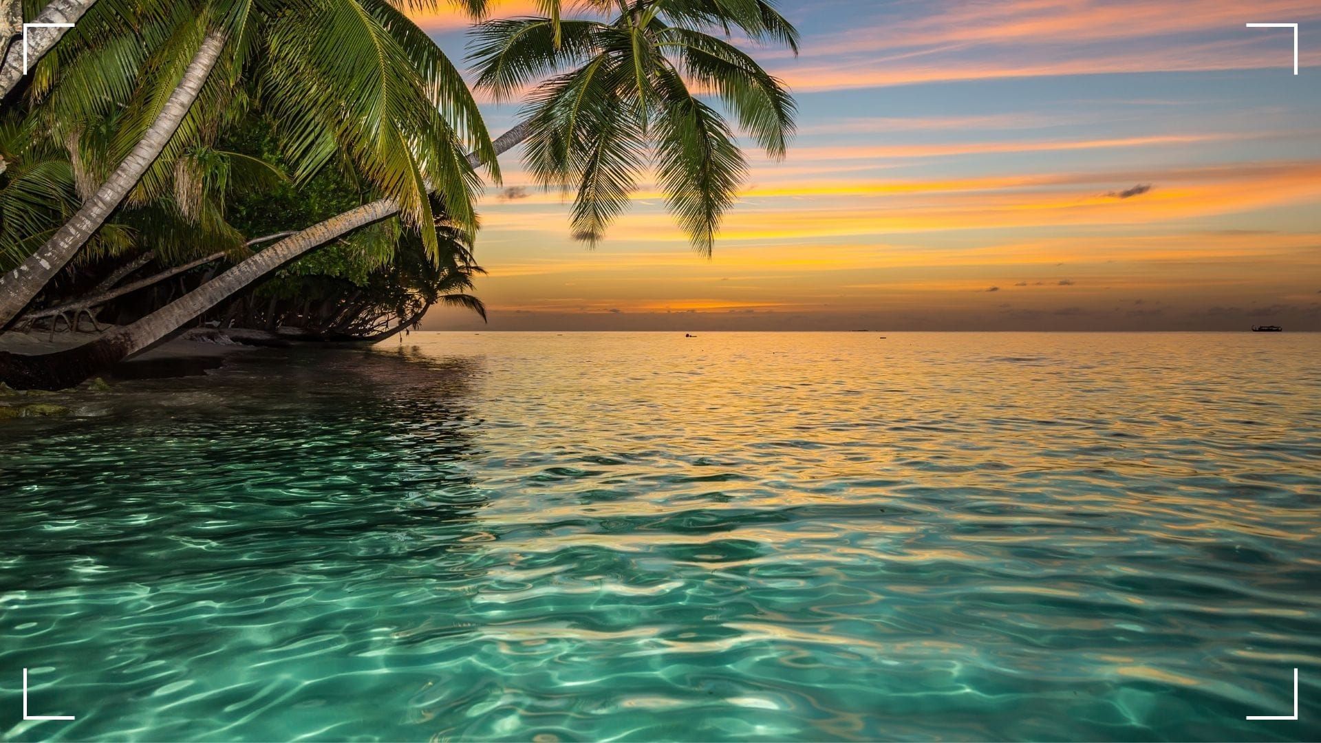 Напомпани мускули, кухи думи – новият „Ерген“ започна