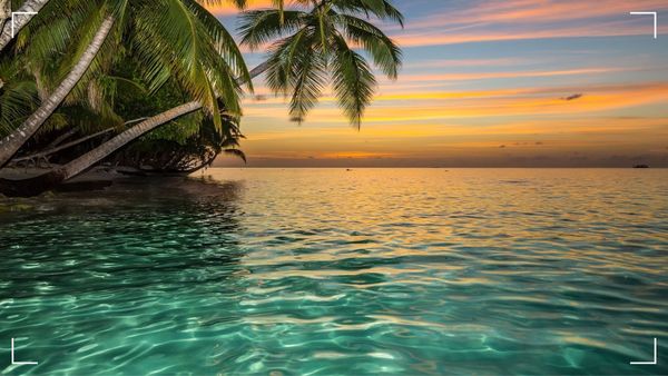 Напомпани мускули, кухи думи – новият „Ерген“ започна