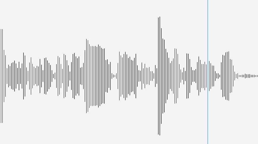 voice
