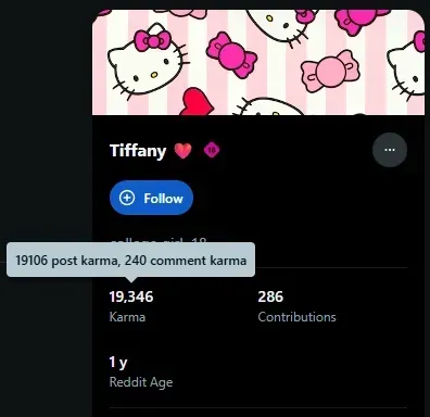 Fanvue Reddit karma example