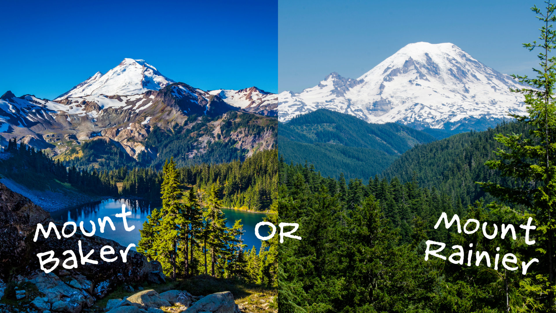 Mount Baker or Mount Rainier?