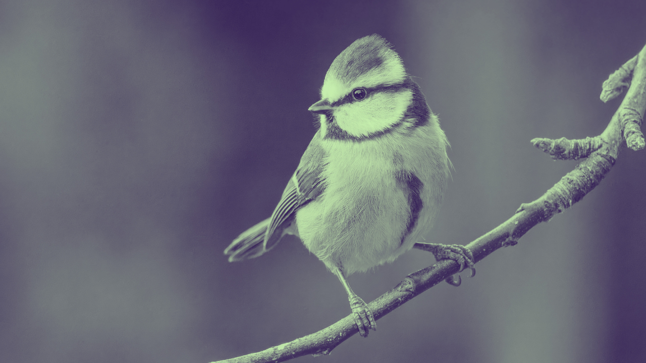 HEAL YOURSELF TODAY: The Act of Silence for Caregivers